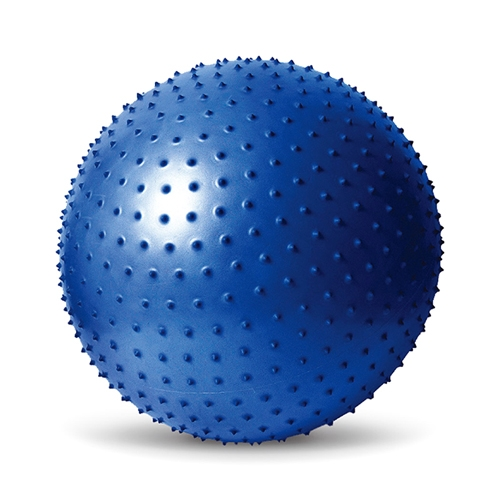 마사지 짐볼 (65cm) EB220