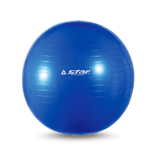 짐볼 (55cm) EB240