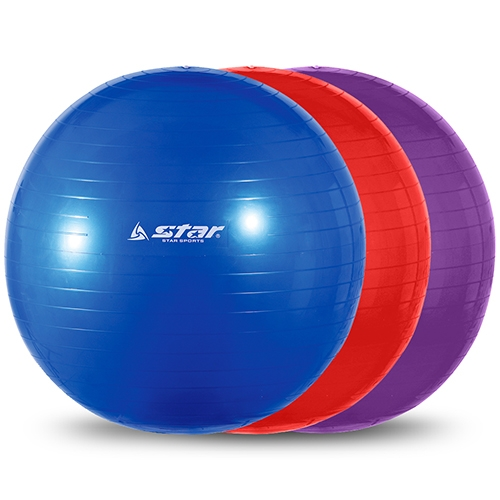 짐볼 (65cm) EB200